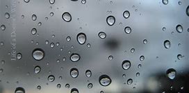 Raindrops wallpapers