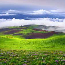 Show a magical and surreal view of the summit of Maui's Haleakalā volcano, with vibrant green fields dotted with delicate wildflowers and surrounded by the cloud-covered horizon.