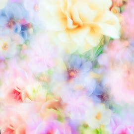 Make a background composed of vibrant flowers in full bloom with a dreamlike quality.. Image 2 of 4