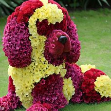 A Cock Spaniel made entirely out of flowers.