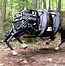 Image result for Big Dog Robot