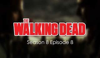 Image result for TWD S8