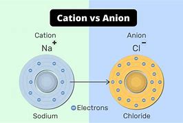 Image result for Anion V Cation