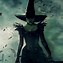 Image result for Wicked Witch Cracters