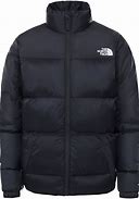 Image result for TNF Jacket