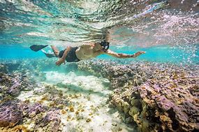 Image result for Hanauma Bay Snorkeling