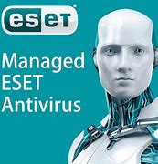 Image result for Antivirus Software