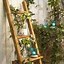 Image result for Wooden Ladder Plant Stand