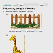 Image result for Objects That Measure Meters