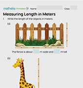 Image result for Meter Length