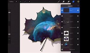 Image result for Procreate Layer Opacity