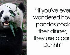 Image result for Bored Panda Funny Memes