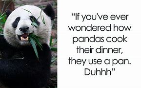 Image result for Bored Panda Memes