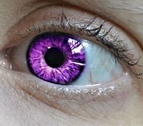 Image result for Swivel Eye Clip