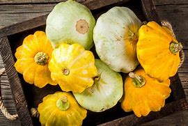 Image result for Small Squash Types