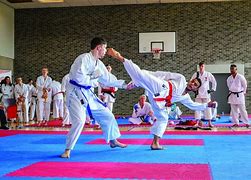 Image result for Karate