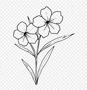 Image result for Flower Sketch