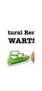Image result for Wart Removal Home Remedies
