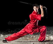 Image result for Red Back Martial Arts