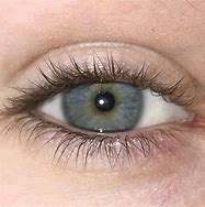 Image result for Bblue Gray Eyes