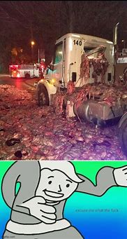 Image result for Fallout Excuse MeMeMe