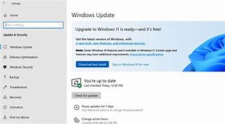 Image result for Software Update Windows 11