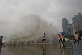 Image result for Typhoon Bolaven