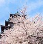 Image result for Osaka Castle Park