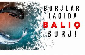 Image result for Baliq Burji