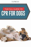 Image result for Dog CPR Chart