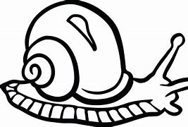 Image result for Snail Cartoon Black and White