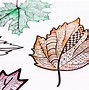 Image result for Zentangle Leaf