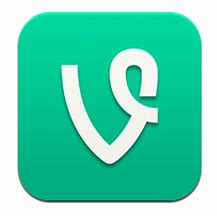 Image result for Vine App Icon