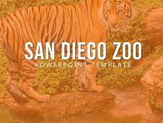 Image result for Art Pp Zoo