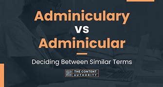 Image result for arminicular