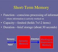 Image result for Short-Term vs Working Memory