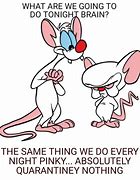 Image result for Pinky and Brain Real-People Meme