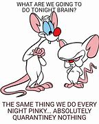 Image result for Pinky and the Brain Map Meme