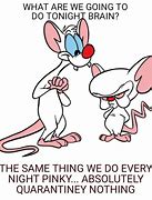 Image result for Pinky and the Brain Deformed Meme