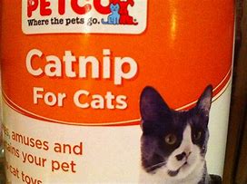 Image result for Catnip Food