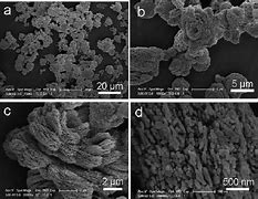 Image result for Calcium Carbonate Sem