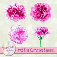 Image result for Hot Pink Elements