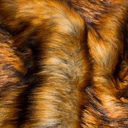 Image result for Faux Fox Fur