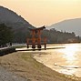 Image result for Miyajima Day Trip