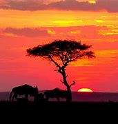 Image result for Kenya Sunset
