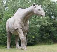 Image result for What Is the Biggest Animal