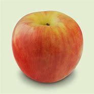 Image result for Washington Apple Variety
