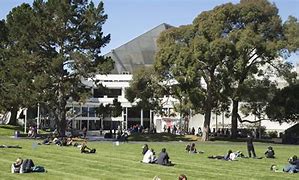 Image result for SFSU Students