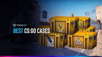 Image result for CS:GO Case Idea