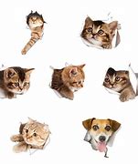 Image result for Well Known Dog Designs